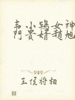 韦小鸨女神的上门贵婿赵旭