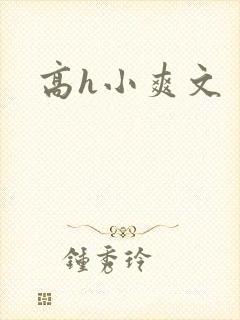高h小爽文封面