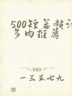 500短篇超污多肉推荐