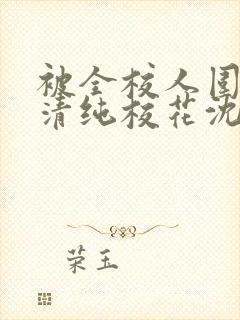 被全校人围观的清纯校花沈清清小说