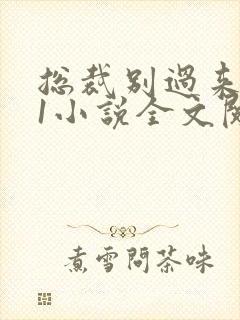总裁别过来1v1小说全文阅读