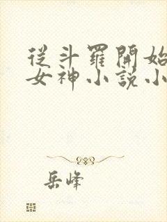 从斗罗开始俘获女神小说小说