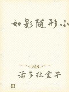 如影随形小说