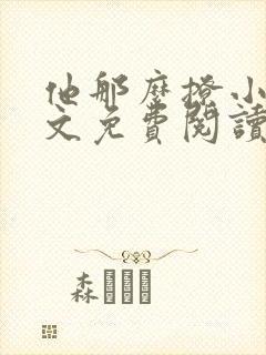 他那么撩小说全文免费阅读无弹窗