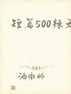 短篇500辣文