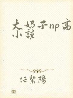 大奶子np高h小说
