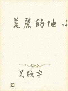 美丽的他 小说