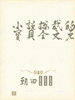小说总裁的私有宝贝全文免费阅读
