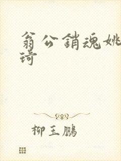 翁公销魂姚瑶琦琦