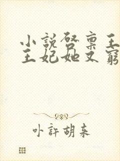 小说启禀王爷,王妃她又穷疯了免费看