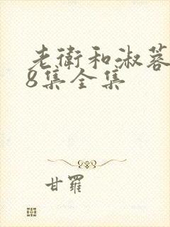 老卫和淑蓉第48集全集封面