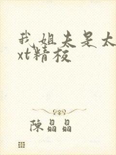 我姐夫是太子txt精校