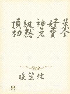 顶级神婿叶辰萧初然免费全文阅读封面