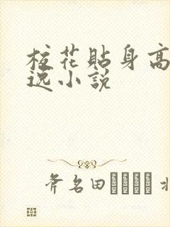 校花贴身高手林逸小说