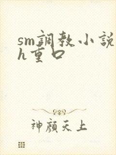 sm调教小说高h重口封面