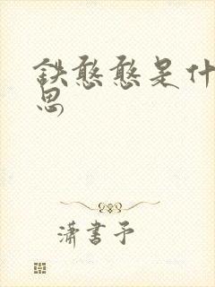 铁憨憨是什么意思