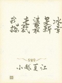 我老婆是冰山女总裁最新章节阅读