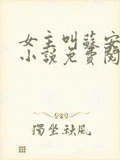 女主叫苏安然的小说免费阅读