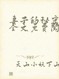 妻子的秘密小说全文免费阅读封面