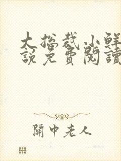 大总裁小鲜妻小说免费阅读全文