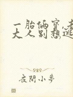 一胎俩宝,老婆大人别想逃大结局