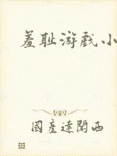 羞耻游戏小说