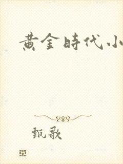 黄金时代小说封面