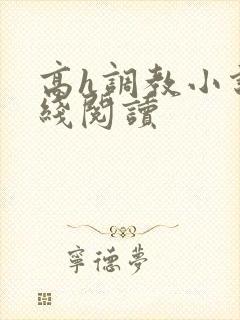 高h调教小说在线阅读封面