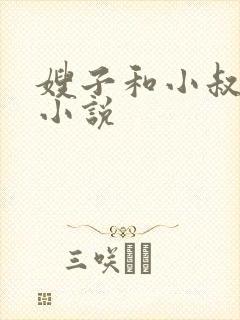 嫂子和小叔子 小说封面