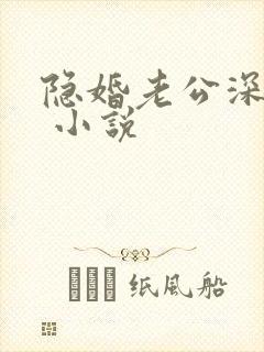 隐婚老公深夜来 小说