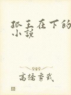 孤王在下的原著小说