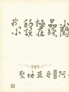 我的极品小姨 小说在线阅读封面