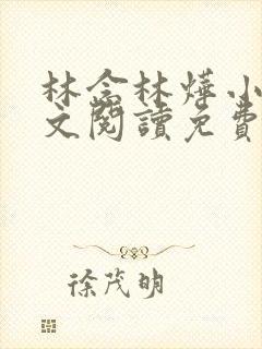 林念林烨小说全文阅读免费