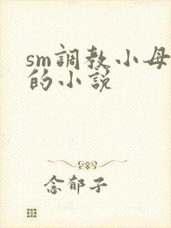 sm调教小母狗的小说封面