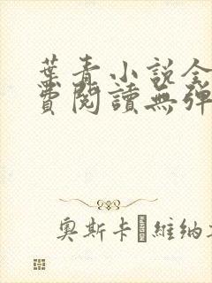 叶青小说全文免费阅读无弹窗