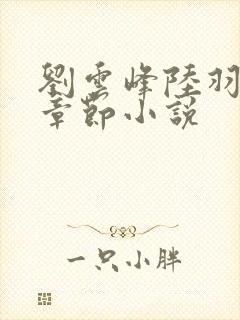 刘云峰陆羽最新章节小说