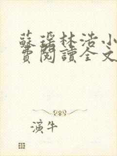 苏瑶林浩小说免费阅读全文最新章节封面