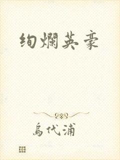绚烂英豪封面