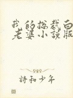 我的总裁白富美老婆小说版