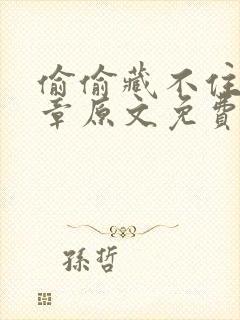 偷偷藏不住77章原文免费阅读
