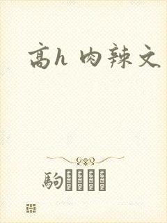 高h 肉辣文封面