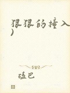 狠狠的撞入(h)