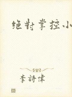 绝对掌控小说
