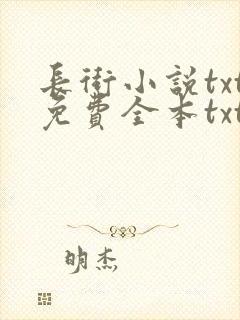 长街小说txt免费全本txt