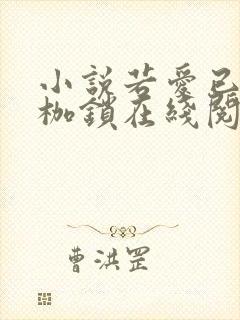 小说若爱已经成枷锁在线阅读