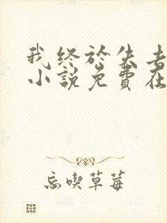 我终于失去了你小说免费在线阅读封面