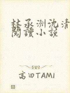 林承洲沈清免费阅读小说
