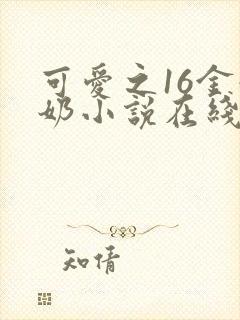 可爱之16金奶奶小说在线阅读