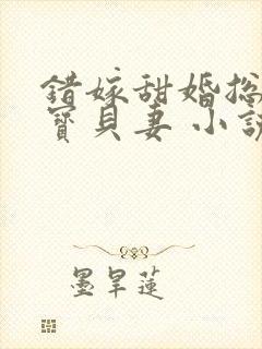 错嫁甜婚总裁的宝贝妻 小说完整板