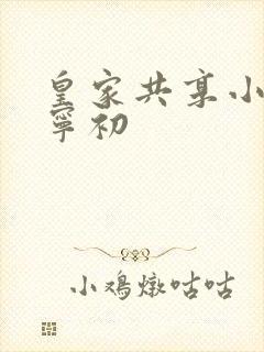 皇家共享小公主宁初